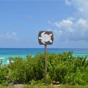 Meet your Posher, Lili